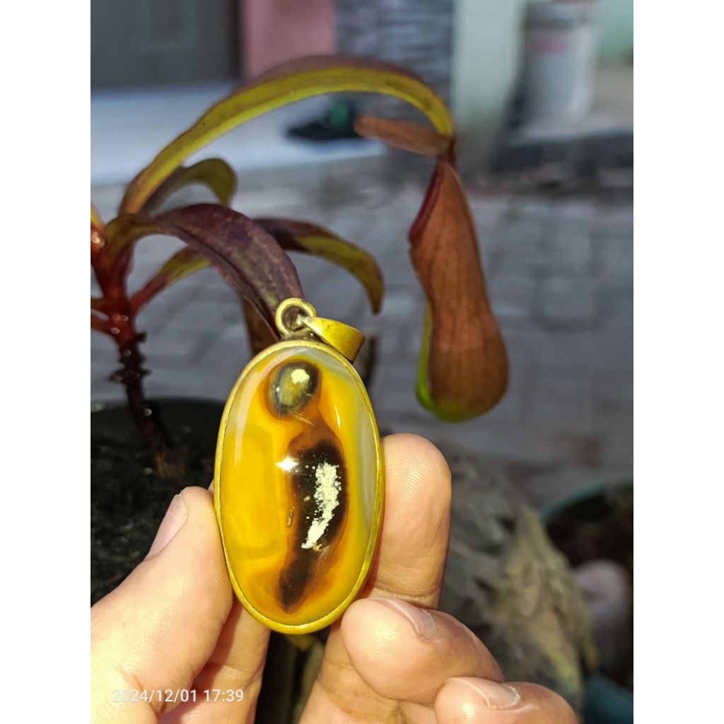 Akik Motif Kantong Semar Natural