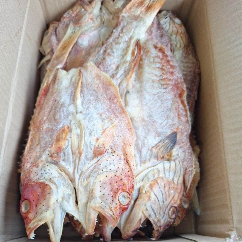 ikan kering sunu/kerapu merah