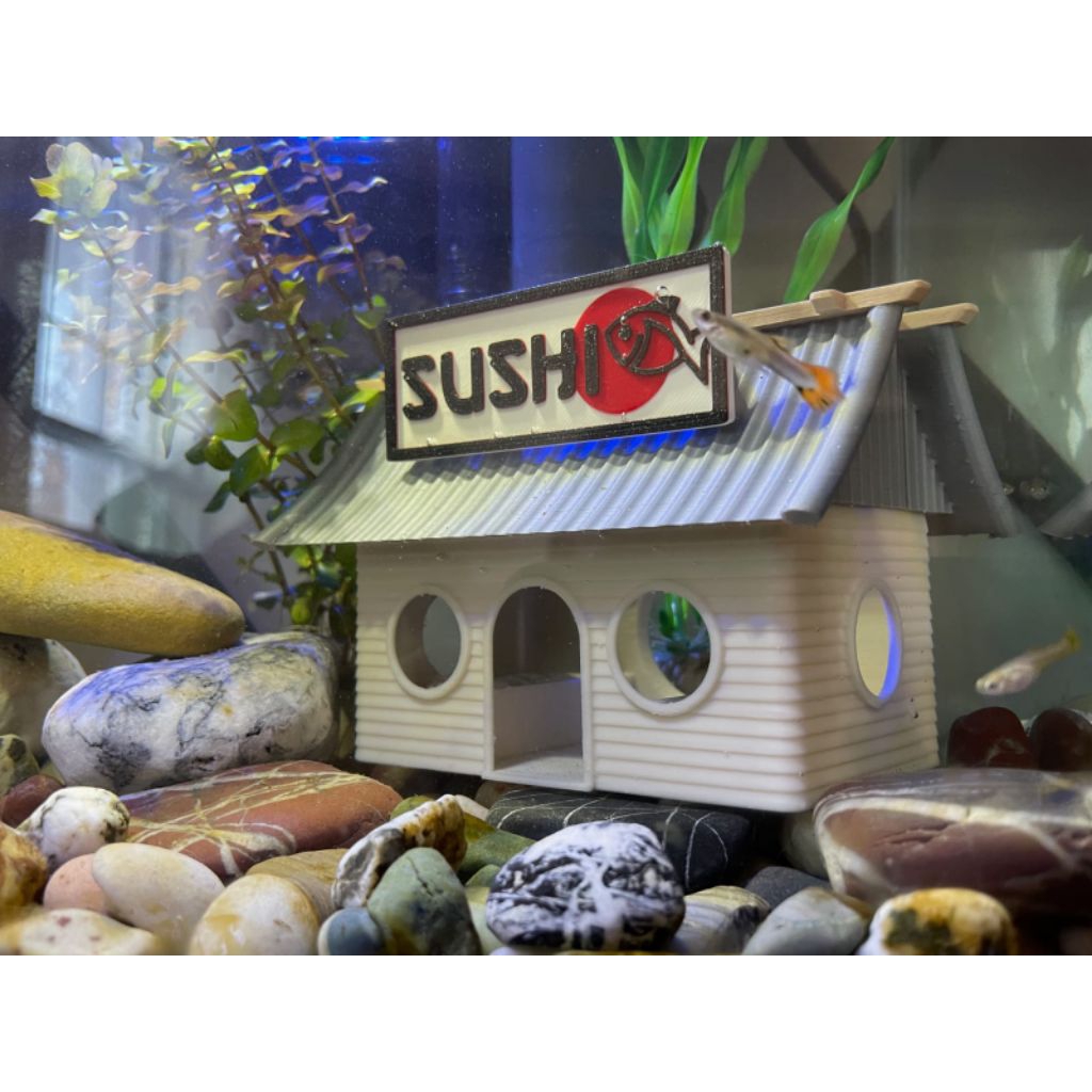 miniatur  toko sushi aquarium ikan hias cupang guppy mini