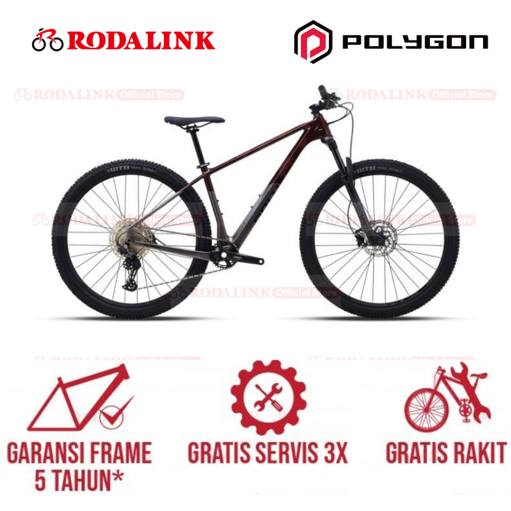 Polygon Sepeda Gunung Carbon MTB Syncline C3