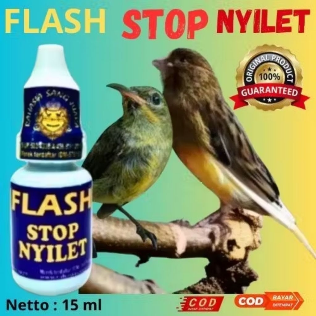 FLASH STOP NYILET AMPUH MENGOBATI NYILET BURUNG
