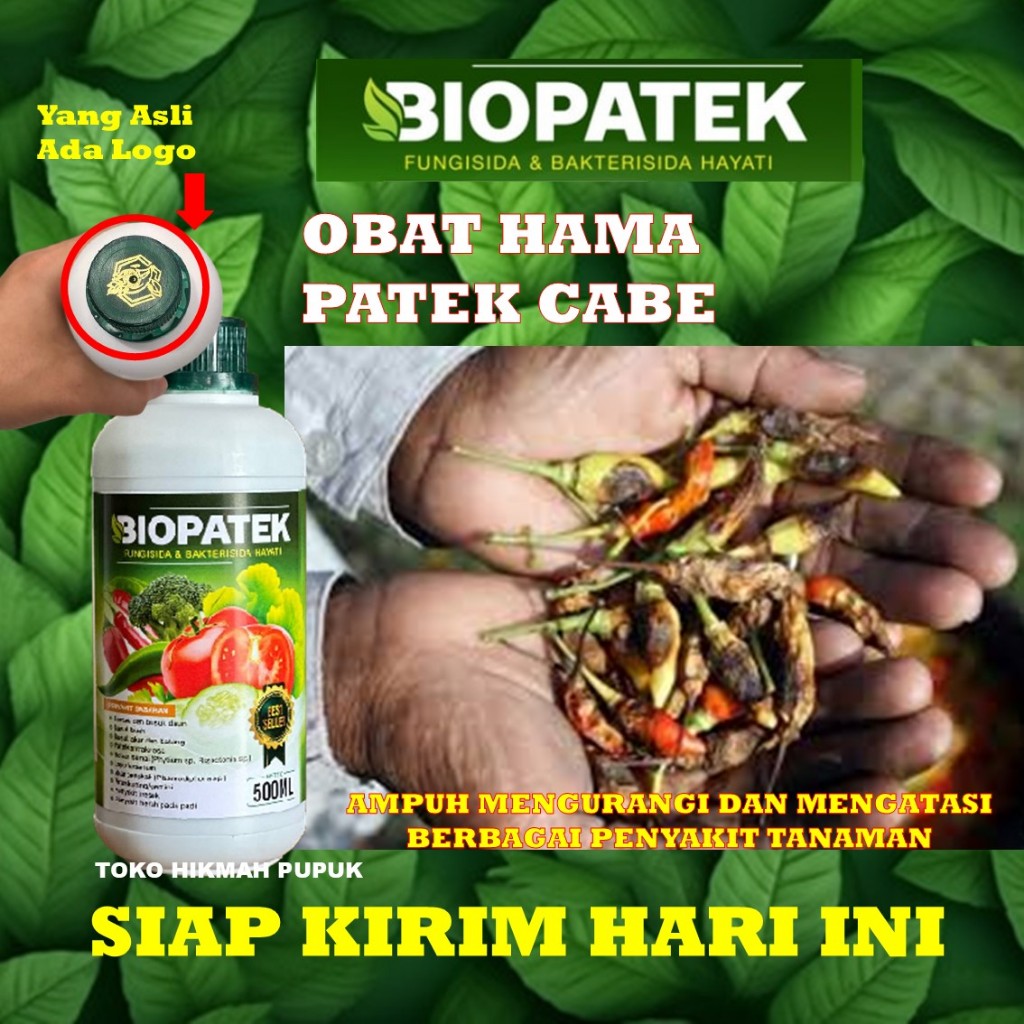 OBAT HAMA PATEK CABE ALAMI > OBAT PATEK CABE AMPUH > OBAT PATEK CABE ORGANIK - NOPATEK ASLI