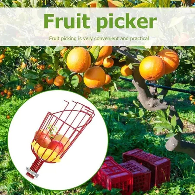 Alat Pemetik Buah Bahan Metal Fruit Picker Alat Pemetik Buah