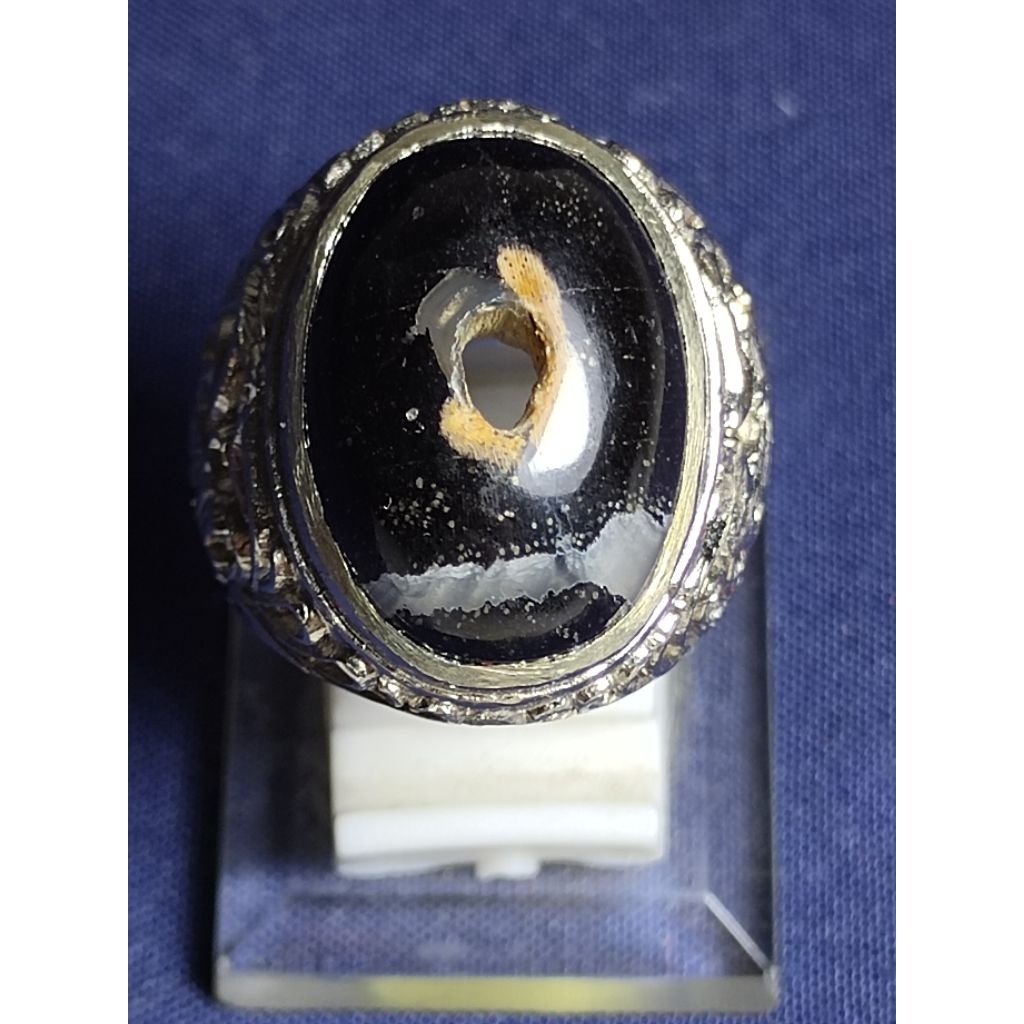 Natural Kelor Petrified Wood, MYSTIC / Batu Fosil Kayu Kelor, SAKRAL, COMBONG, 2