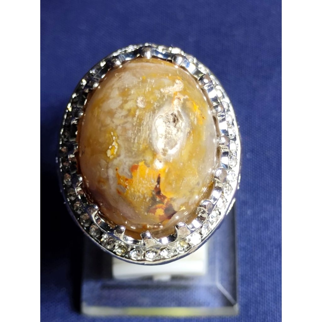 Natural Asem Petrified Wood, MYSTIC / Batu Fosil Kayu Asem, SAKRAL, COMBONG