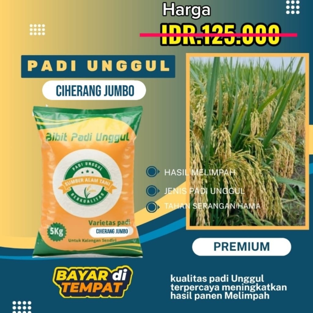 Bibit Padi CIHERANG JUMBO - 5 Kg Original Varietas Padi Berbobot Hasil Optimal