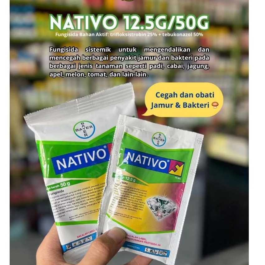 Fungisida NATIVO 50gr