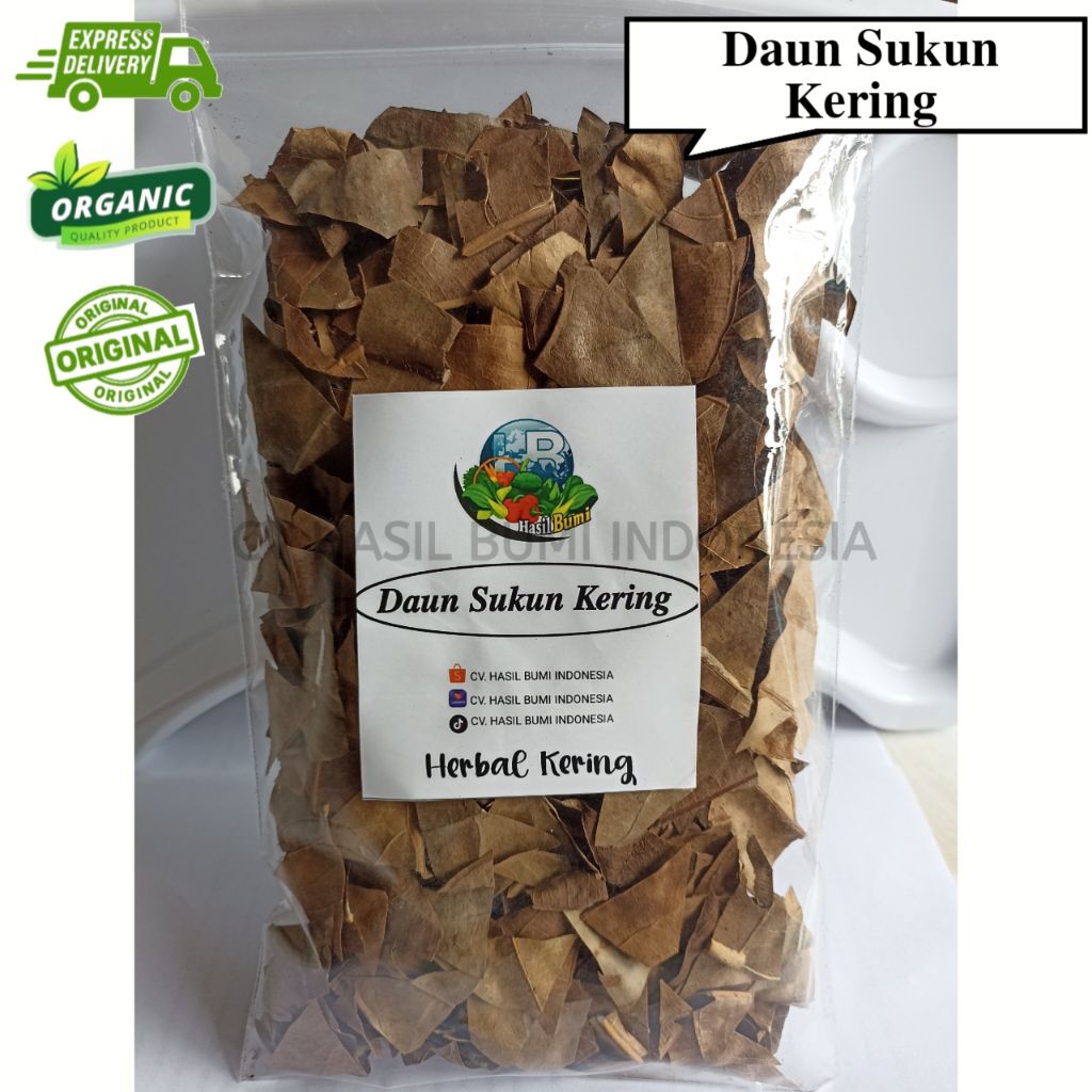Daun Sukun Kering Sukun Obat Herbal Teh Daun Sukun