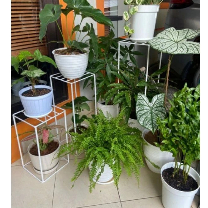 standing pot kotak ram / RAK POT BUNGA BERDIRI ALAS RAM / STANDING POT BUNGA / POT KEMBANG / POT TAN