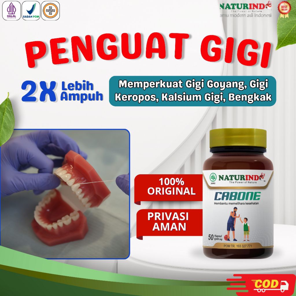 Obat Penguat Gigi Goyang Sakit Bengkak Herbal Ampuh Cabone Naturindo