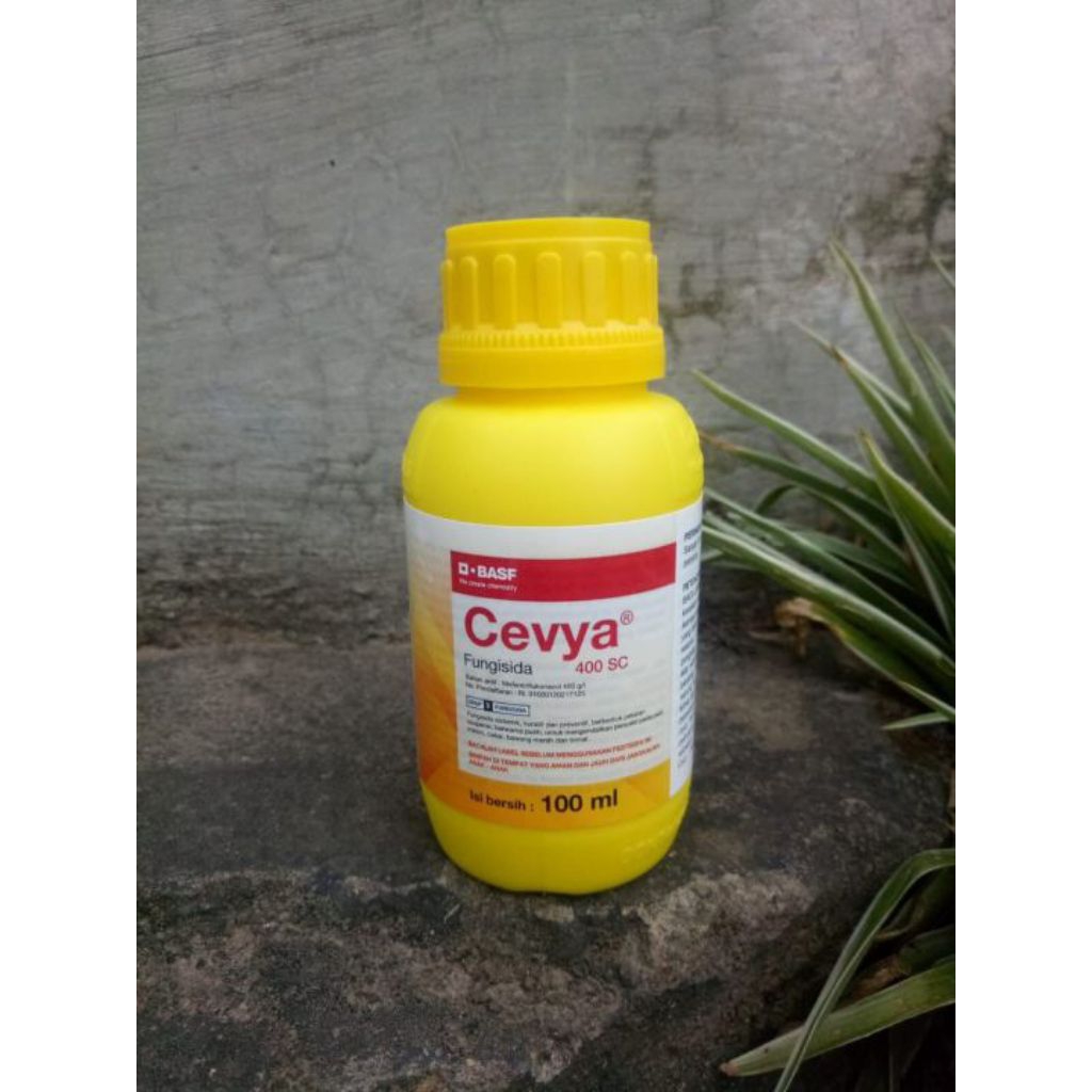 Cevya 100ml