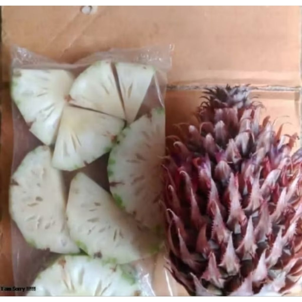 Nanas muda buah nanas muda persatu buah