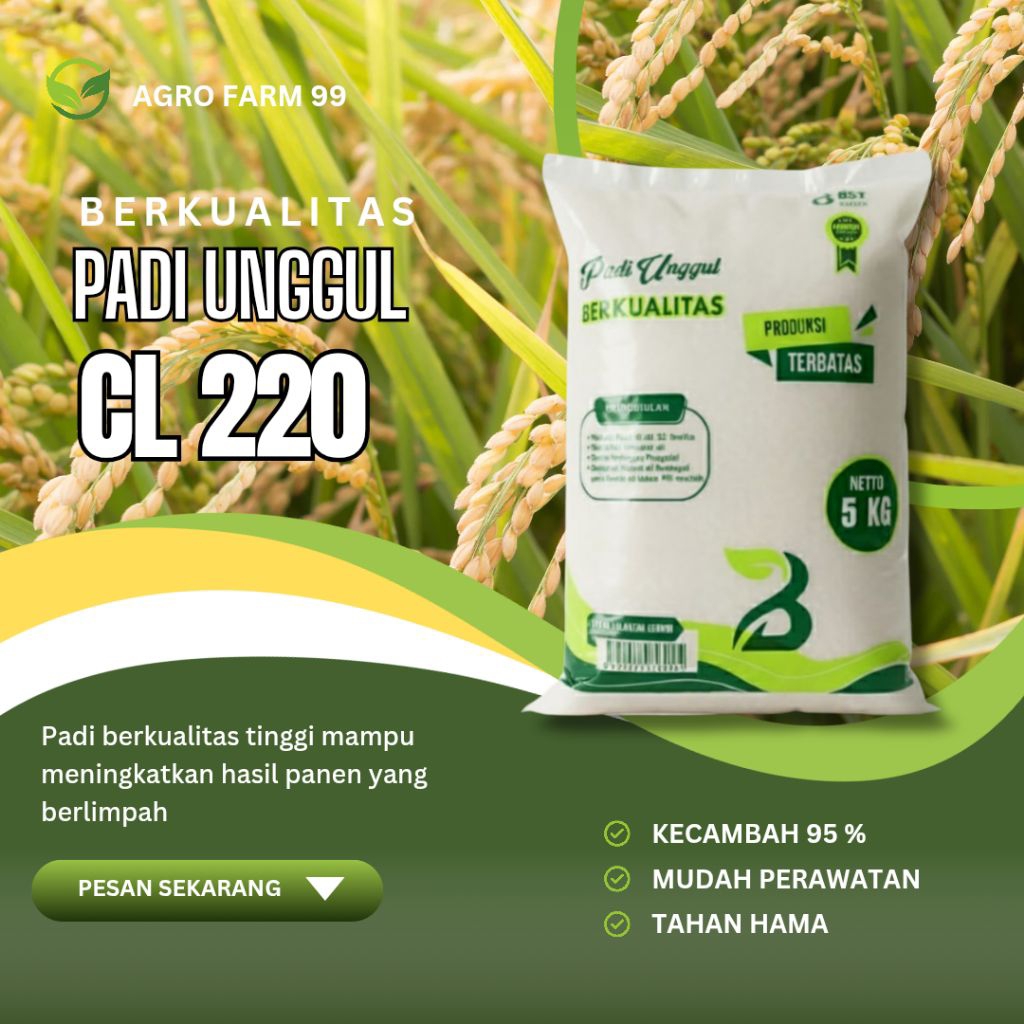 Benih padi unggul Cl 220 kemasan 5 kg