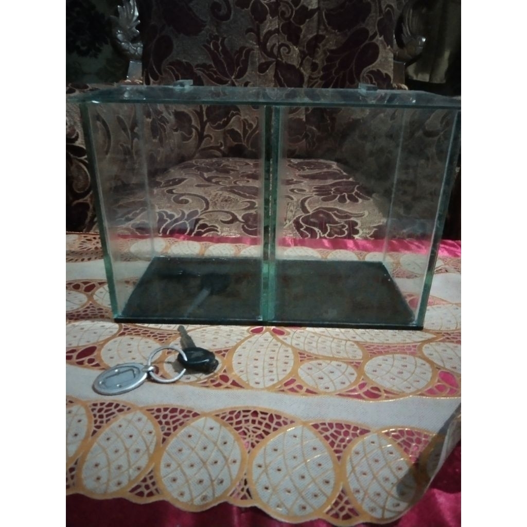 aquarium soliter 10x10x15