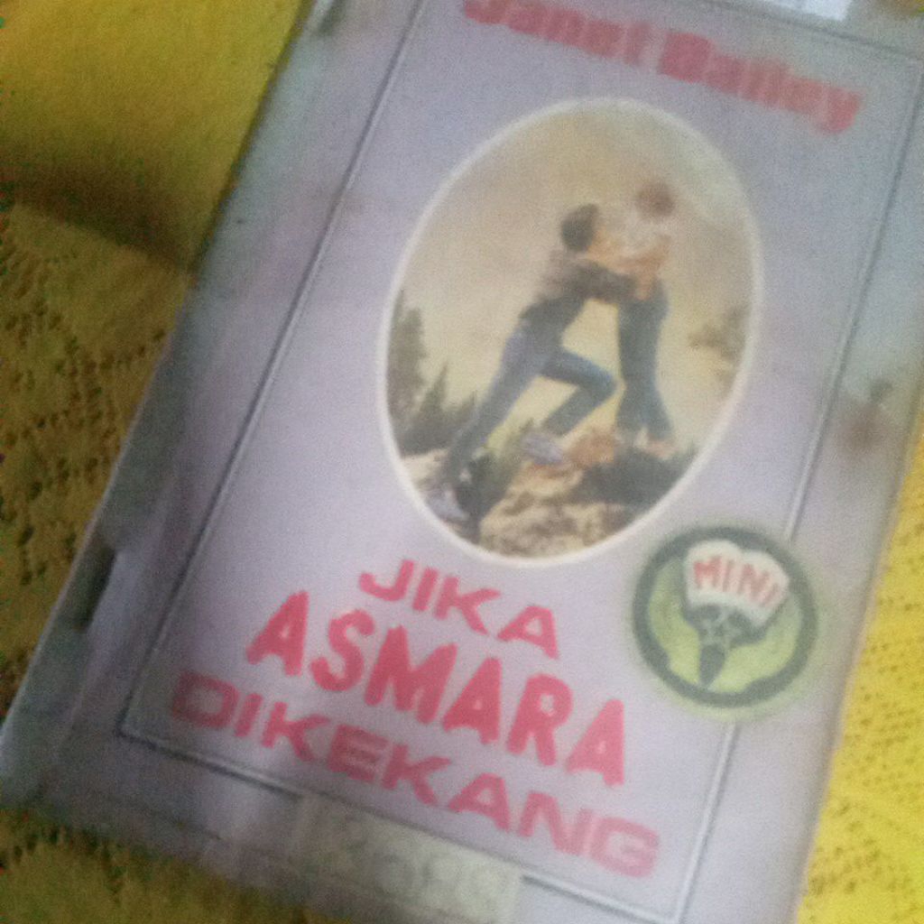 novel JANET DAILEY N28