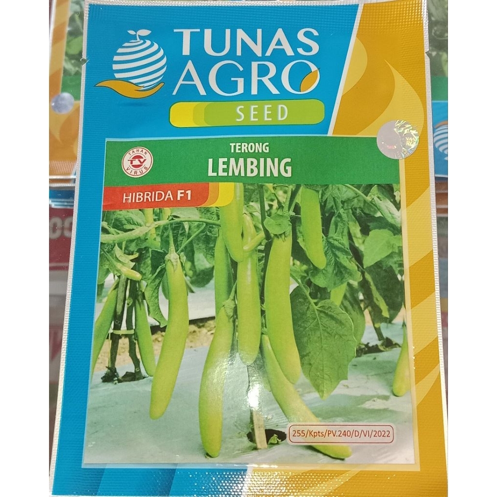 TUNAS AGRO_Terong Lembing Hibrida F1