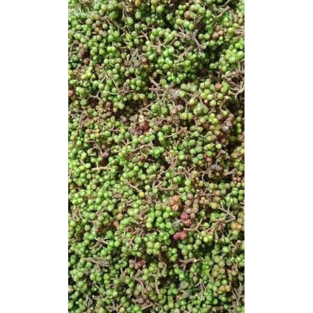 Andaliman Toba Segar 1000 g