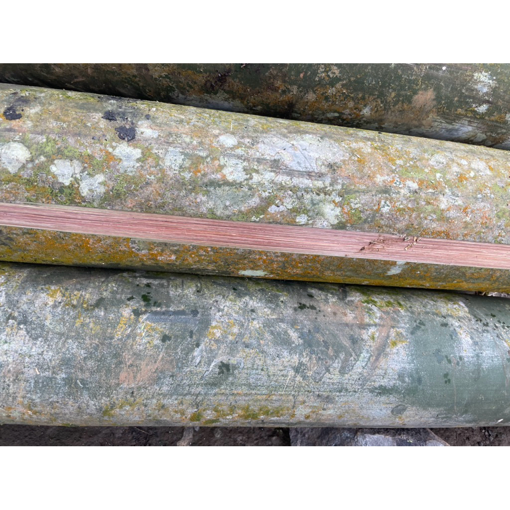 BAMBU PETUNG SUPER BUAT LAYANGAN