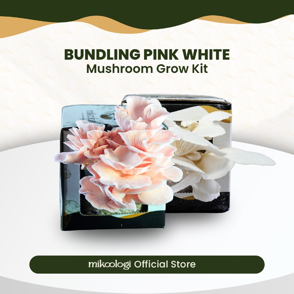 Bundling Pink White - Mikoologi Mushroom Grow Kit - Hiasan Edukasi Eksplorasi Anak Dekorasi