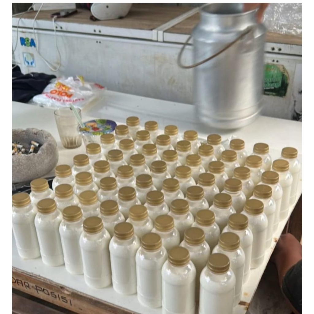 susu kambing murni