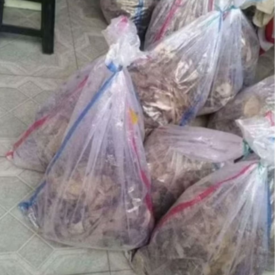 JANGKRIK FRES PAKAN BURUNG