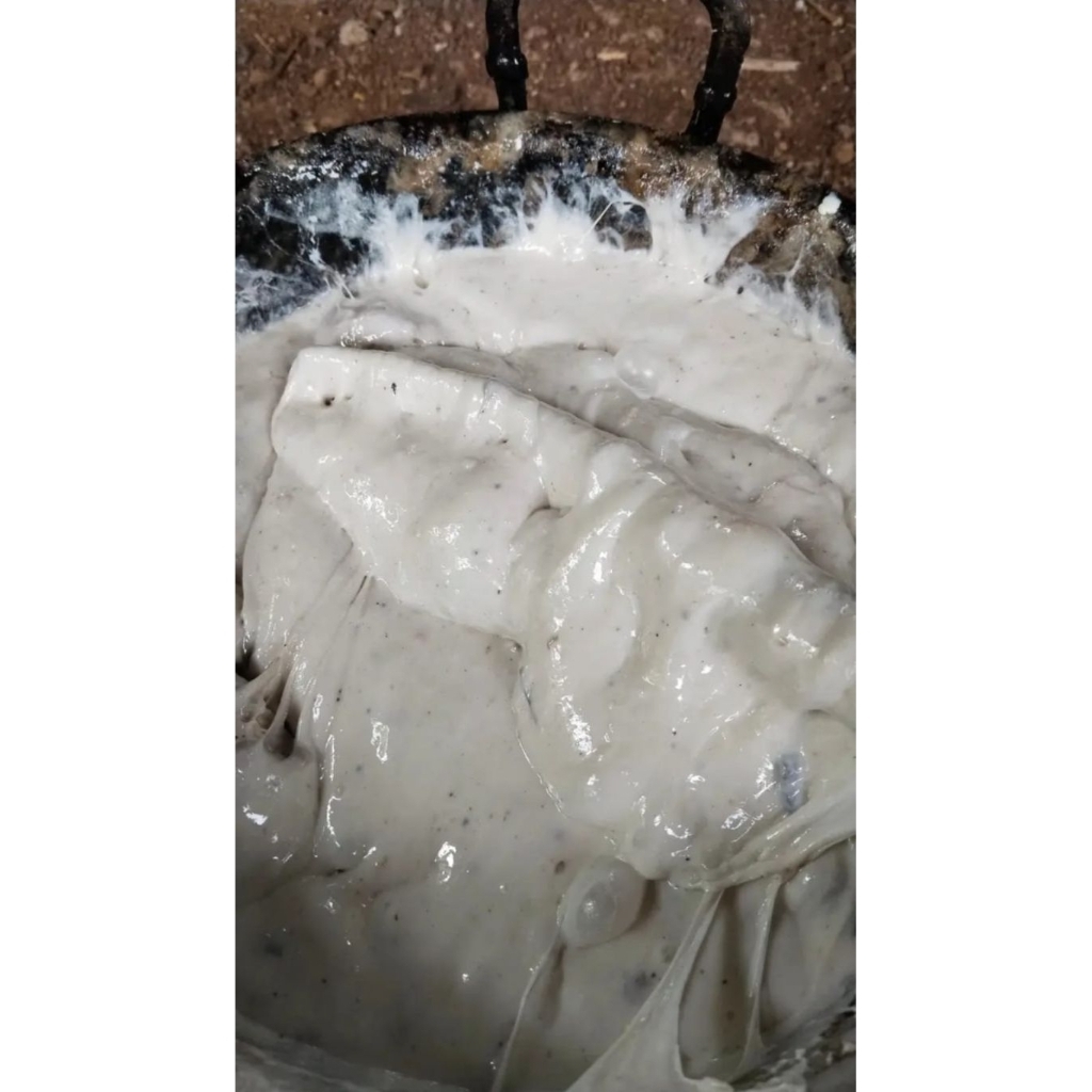 pulut burung berkualitas siap pakai