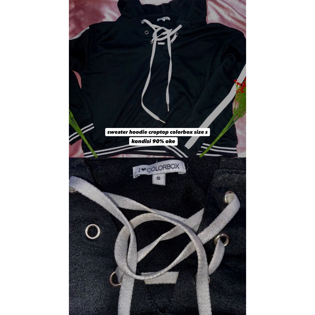 sweater crop colorbox