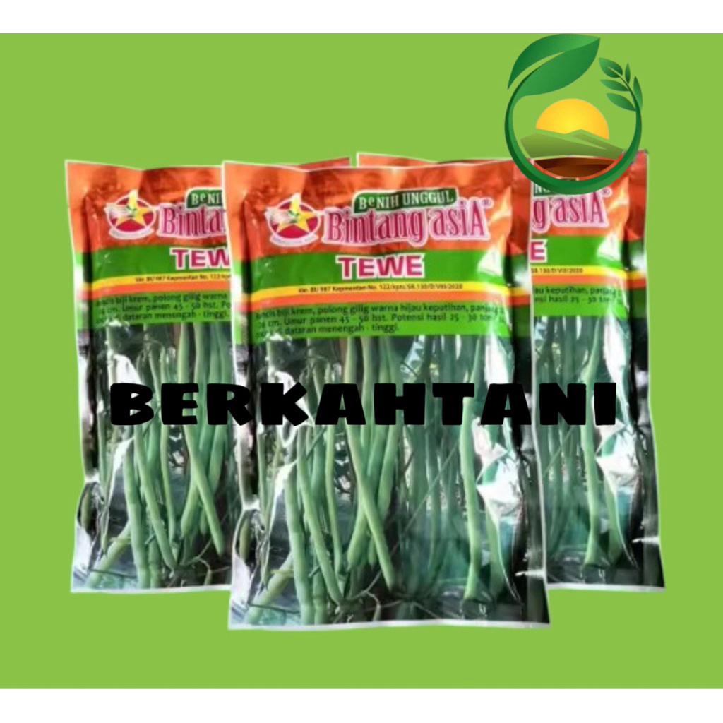 BENIH BUNCIS - TEWE – BINTANG ASIA – 500 GRAM