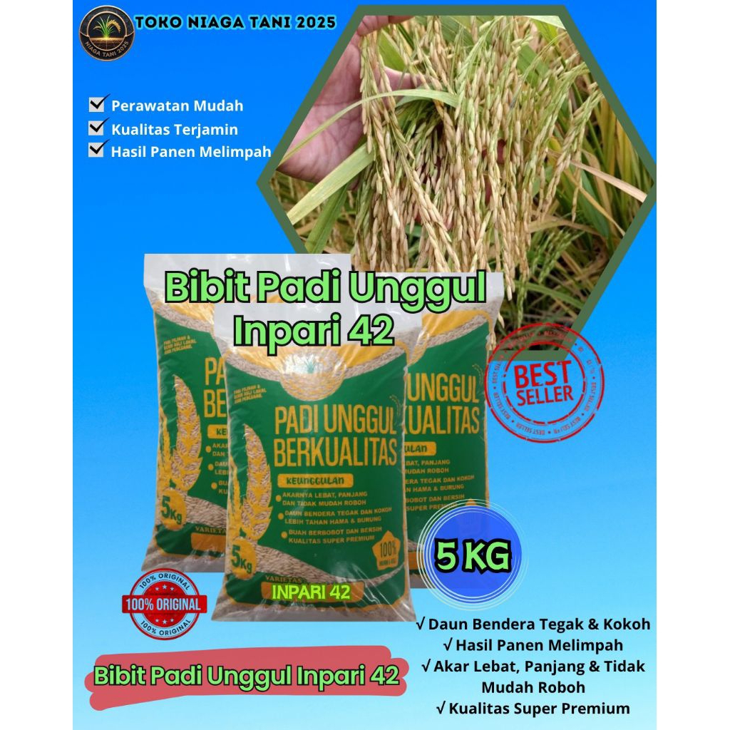 bibit padi unggul inpari 42