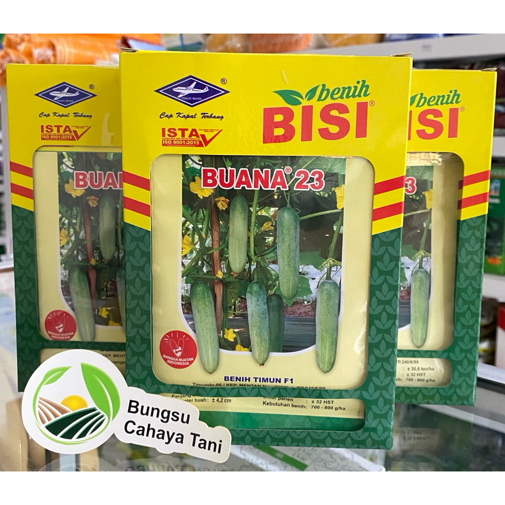 Benih Timun BUANA 23 F1