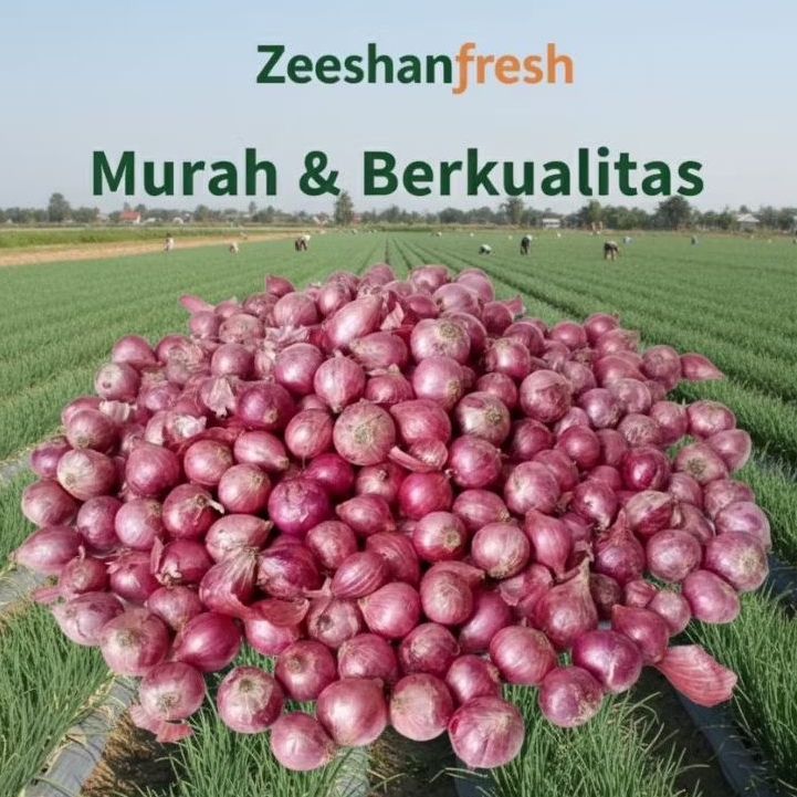 Bawang merah Peking kering 1kg ukuran besar Bawang india segar