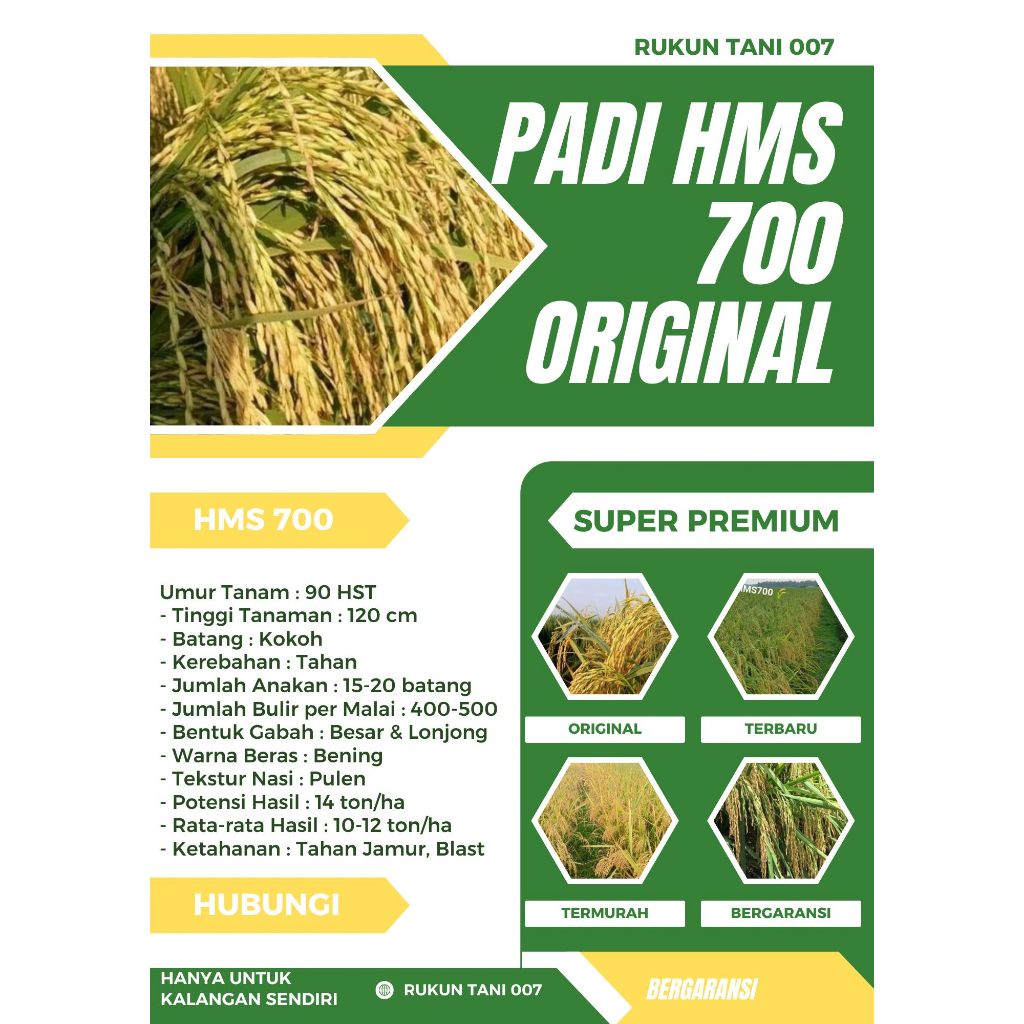 Bibit Benih Padi HMS 700 ORIGINAL Kemasan 5 Kg