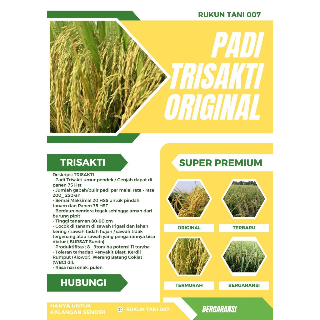 Padi TRISAKTI  Kemasan 5 Kg