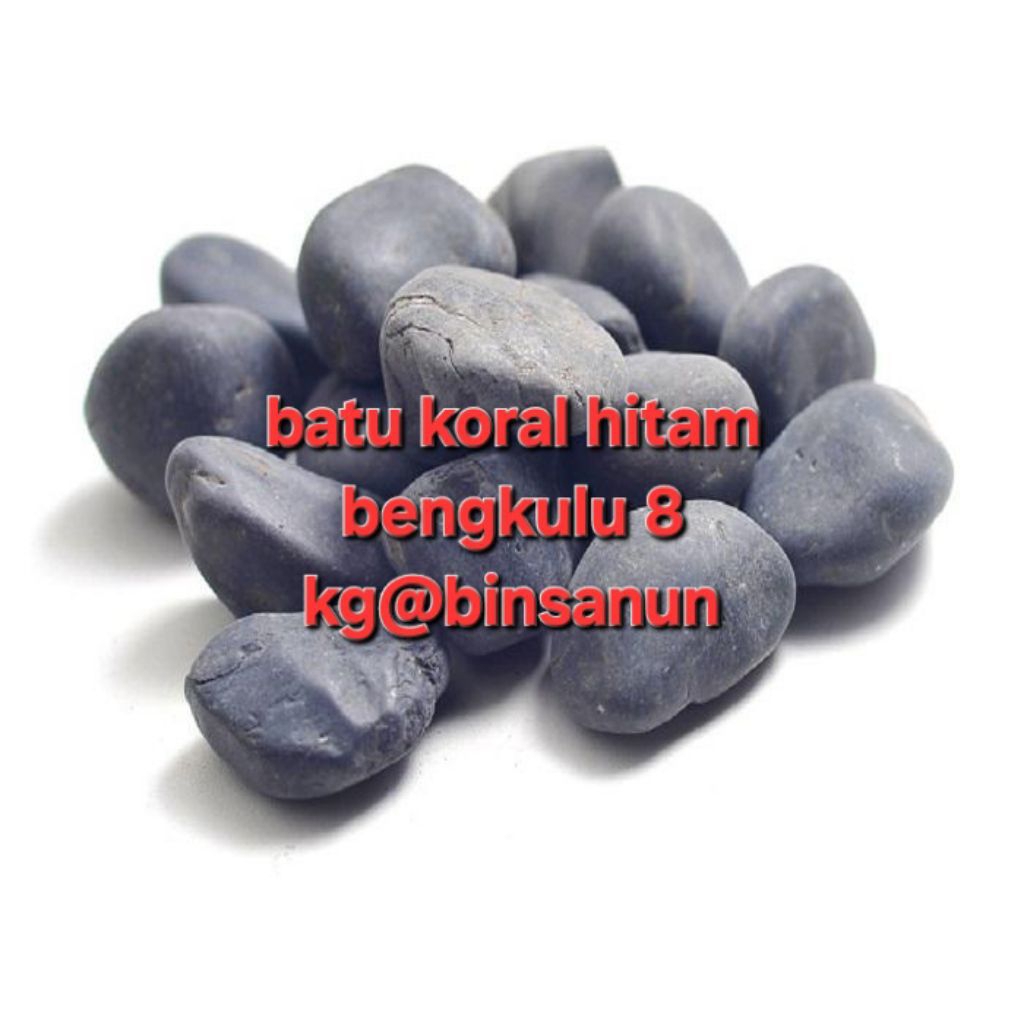 Batu Koral Hitam Bengkulu 8 kg-Batu Koral hiasan taman