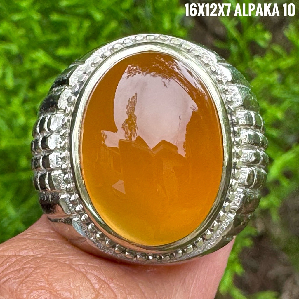 Cincin Batu Akik Natural Raflesia