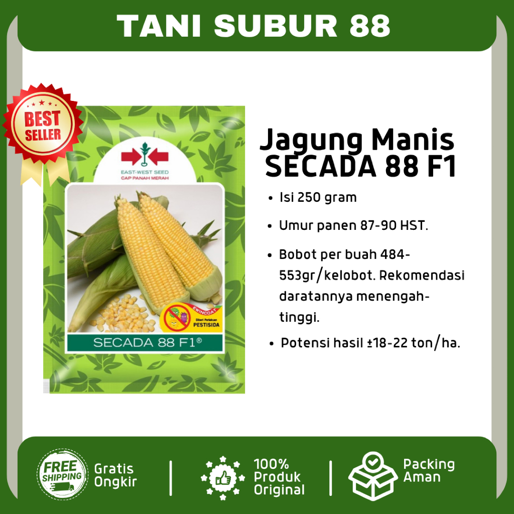 Benih jagung manis SECADA 88 F1 1750 butir dari panah merah secada