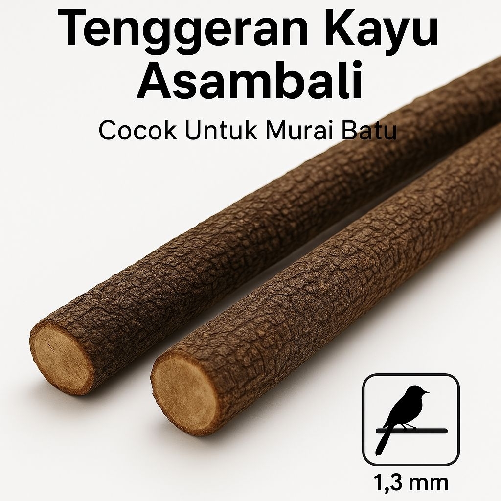 Tangkringan Asem Bali Super – Cocok Untuk Murai, Lovebird, Cucak Ijo, Kenari,Kacer