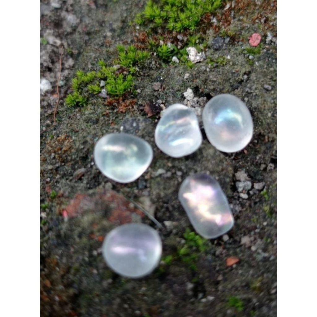 batu akik mustikolipan kalimaya pelangi krikil tunggal