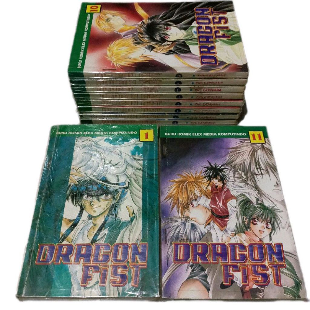 komik dragon fist
