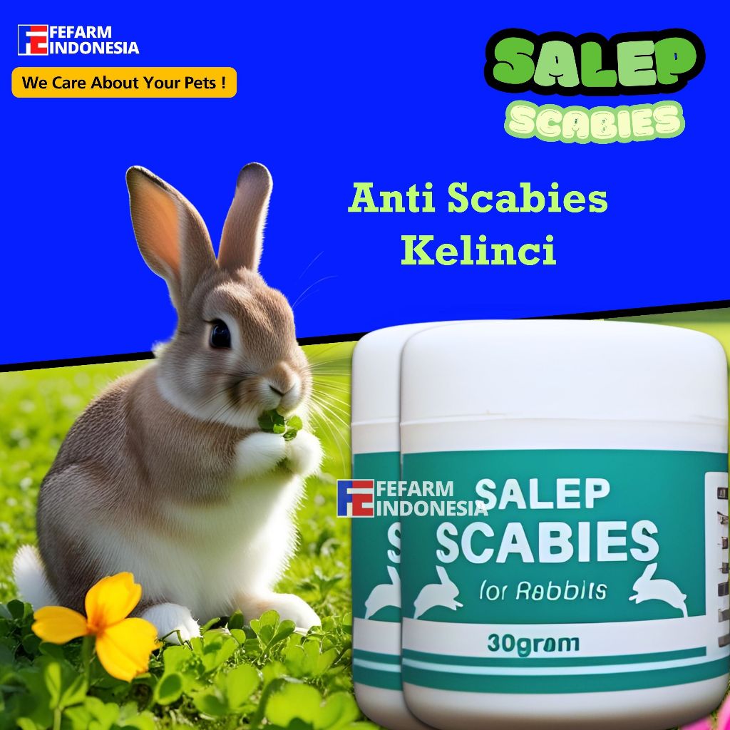 SALEP SCABIES OBAT JAMUR KELINCI SALEP UNTUK MASALAH KULIT KELINCI 30 GRAM SUPER AMPUH AMAN TERJILAT