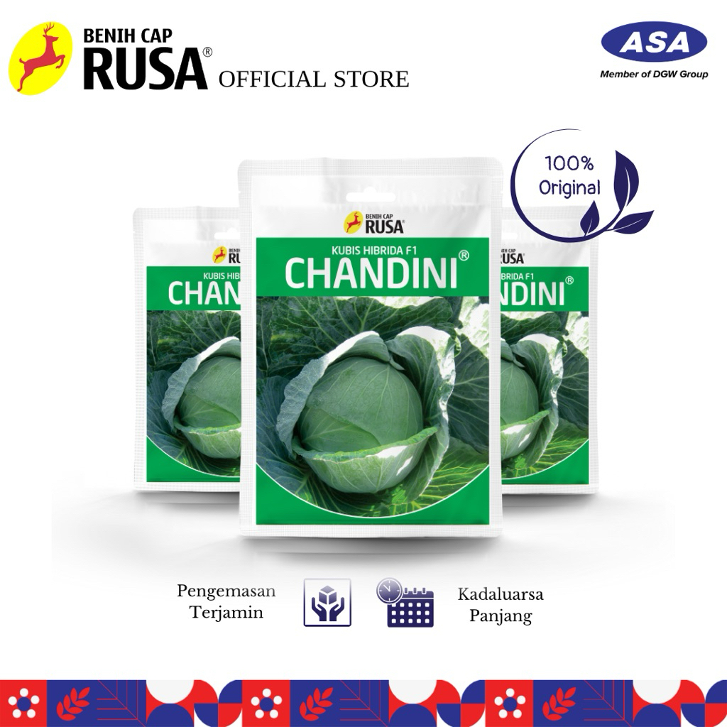 Benih Cap Rusa - 3330 BENIH BIBIT BIJI KUBIS CHANDINI - 25 & 10 GRAM | Sahabat Rusa