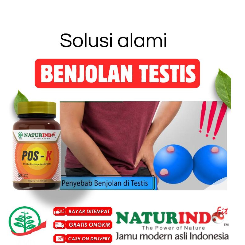 Obat Herbal varikokel benjolan testis Tiroid Gondok Hipertiroid Hipotiroid || Naturindo Obat Kelenja