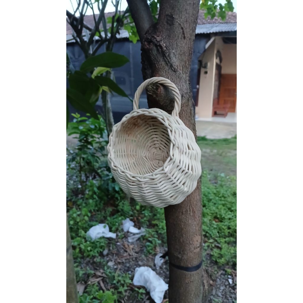 parcel pot dinding unik