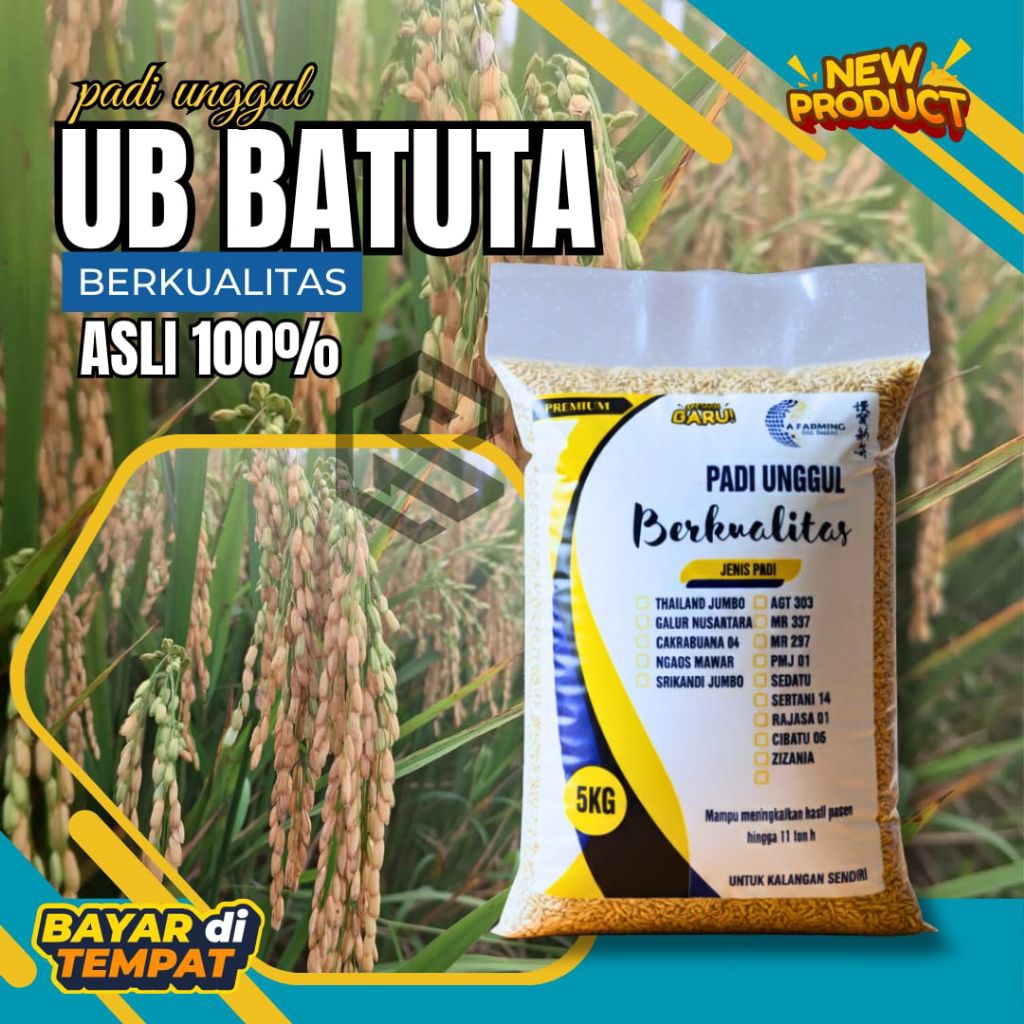Benih padi unggul ub batuta asli 5kg