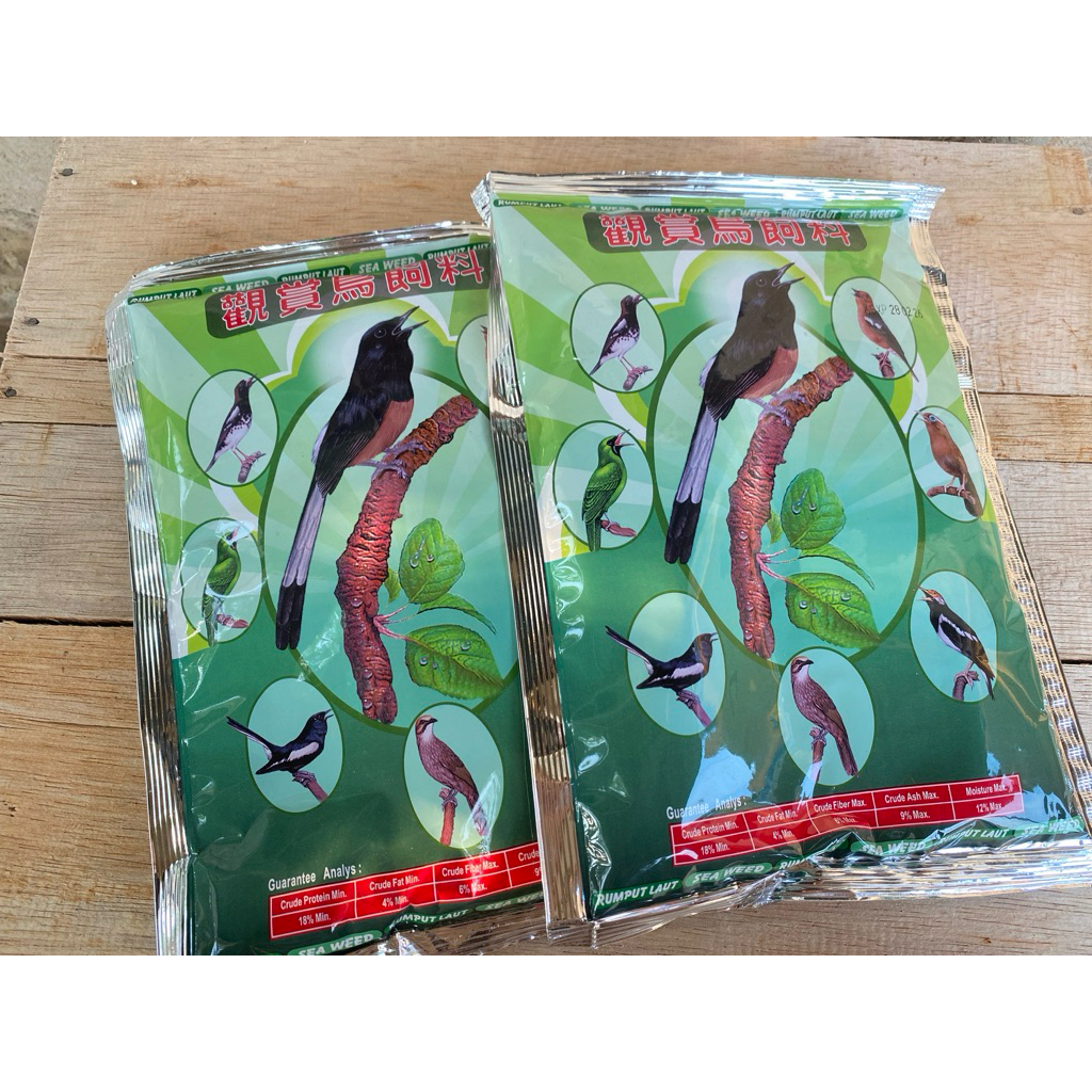 TopSong Pakan Burung Murai Kacer