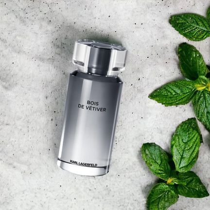 (cute_parfume) KARL LAGERFELD BOIS DE VETIVER FOR MEN EDT 100ML