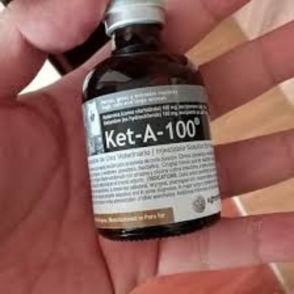 ket a 100 50ml  original untuk hewan
