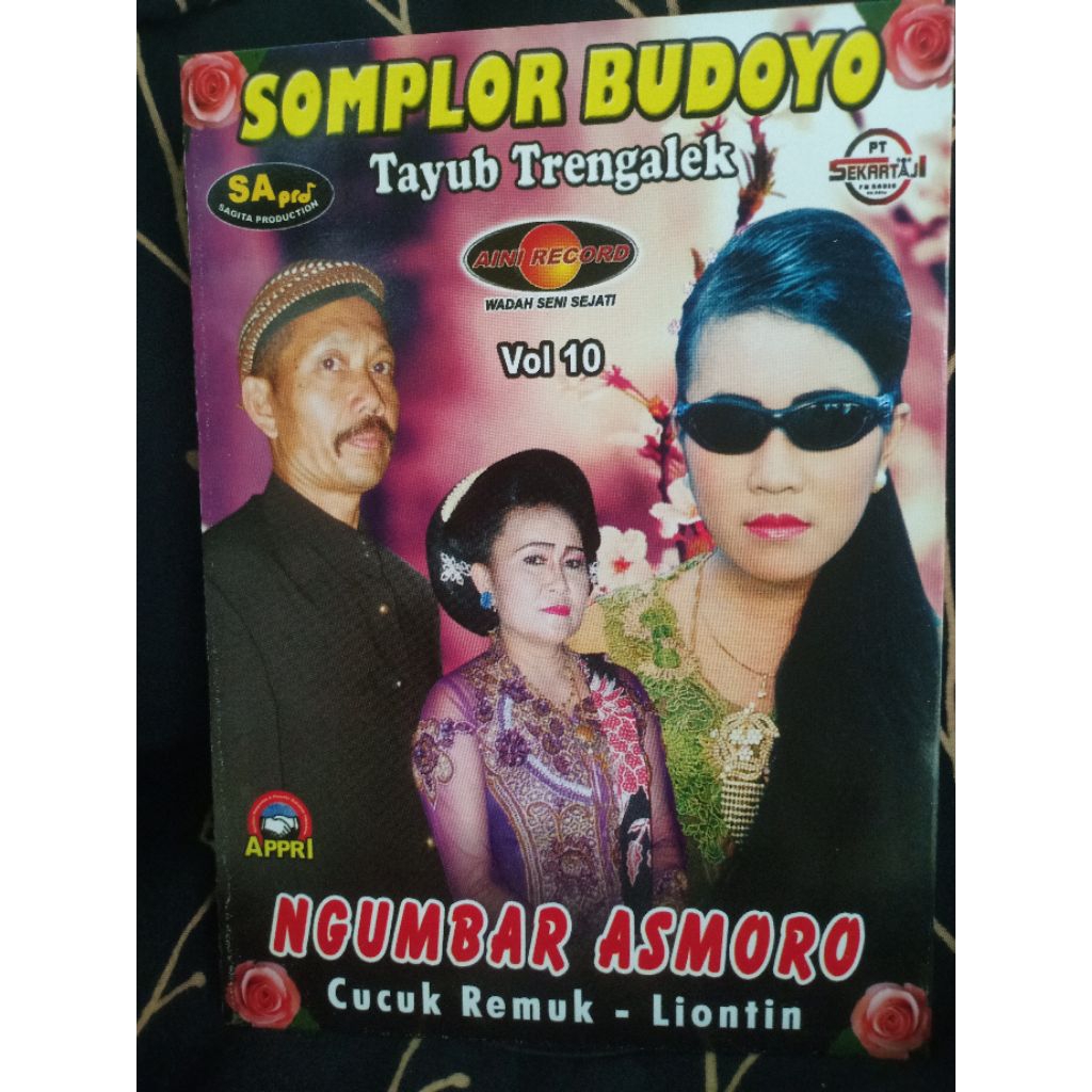 VCD TAYUB TRENGGALEK SOMPLOR BUDOYO VOL 10