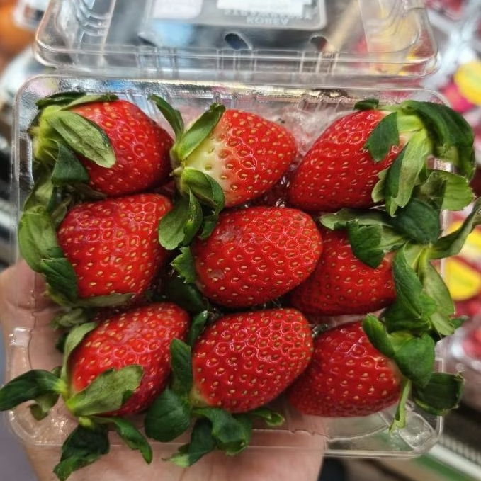 strawberry korea eloasis strawberry korea premium import manis 250 gram