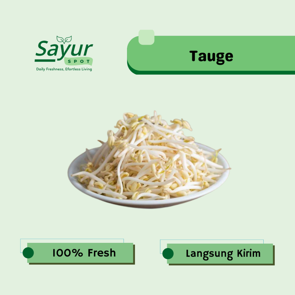 Tauge / Toge Segar / Sayur Bekasi | Sayur Spot Bekasi